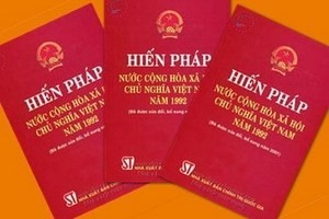 Việt kiều tại Pháp góp ý và Dự thảo Hiến pháp sửa đổi 1992 - ảnh 1
